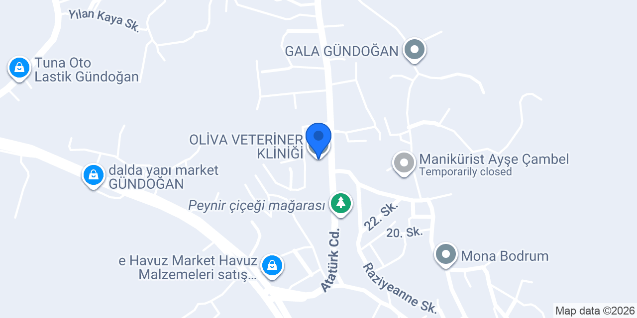 OLİVA VETERİNER KLİNİĞİ konumu