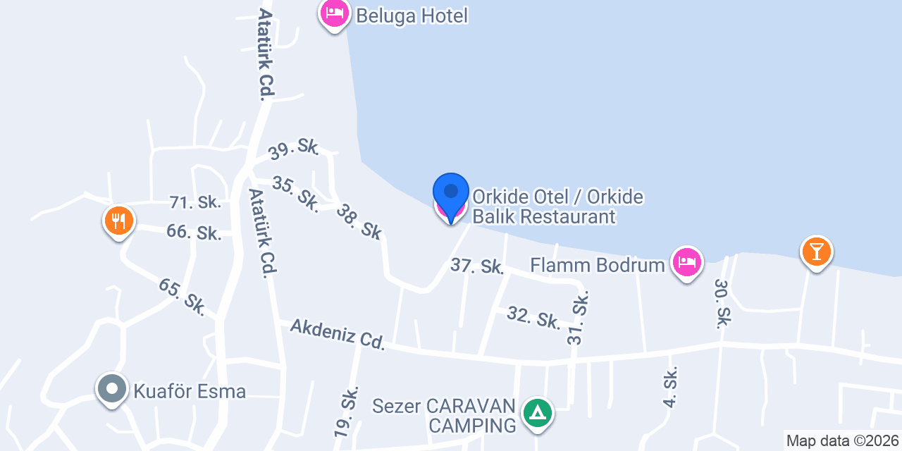 Orkide Otel / Orkide Balık Restaurant konumu