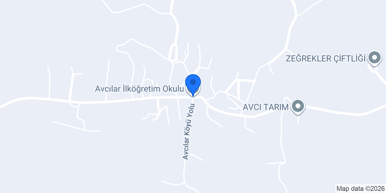 Avcılar İlköğretim Okulu konumu