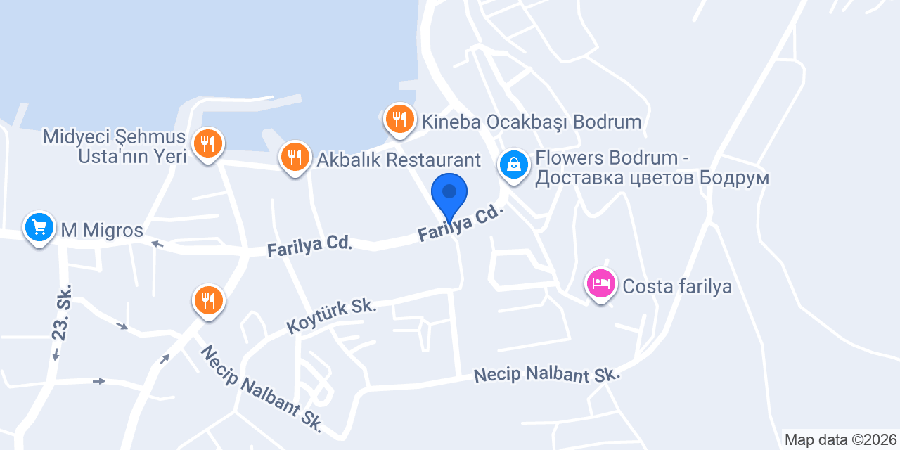 Fluu Oto Kiralama konumu