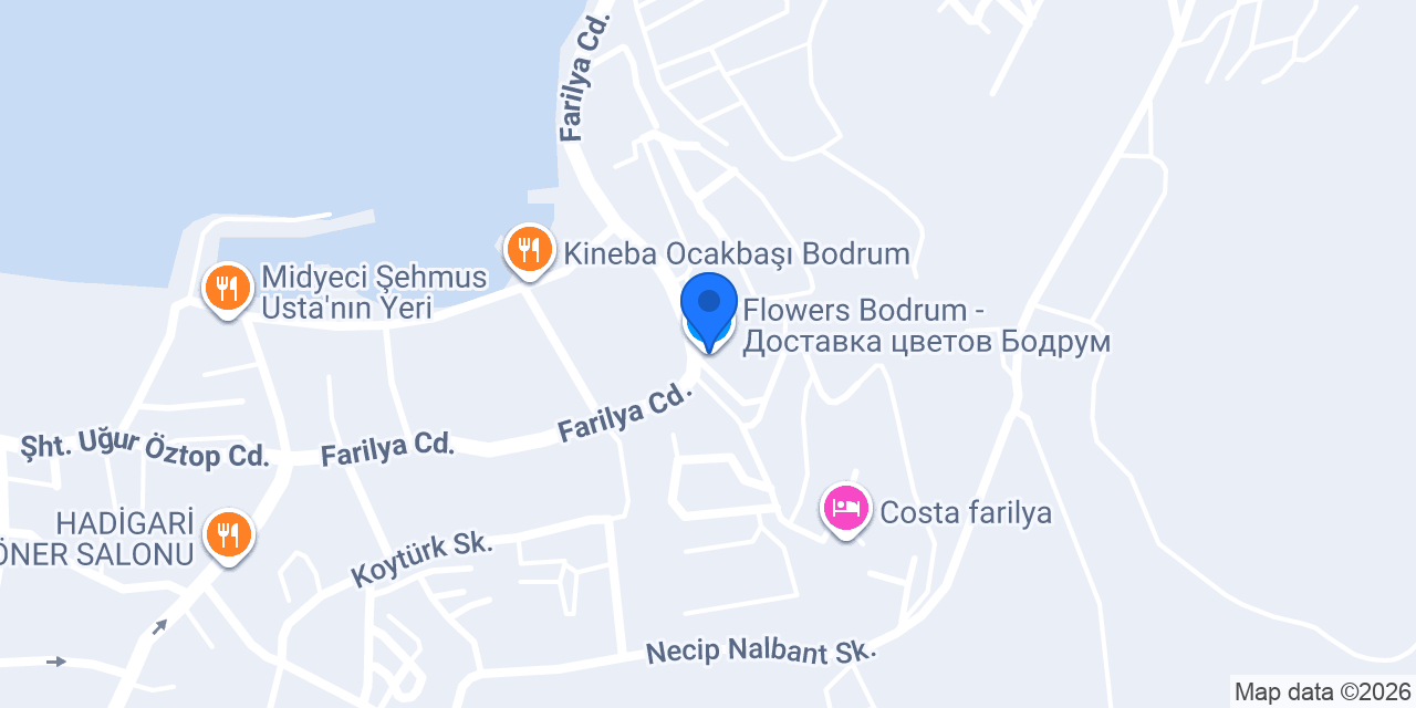 Flowers Bodrum - Доставка цветов Бодрум konumu