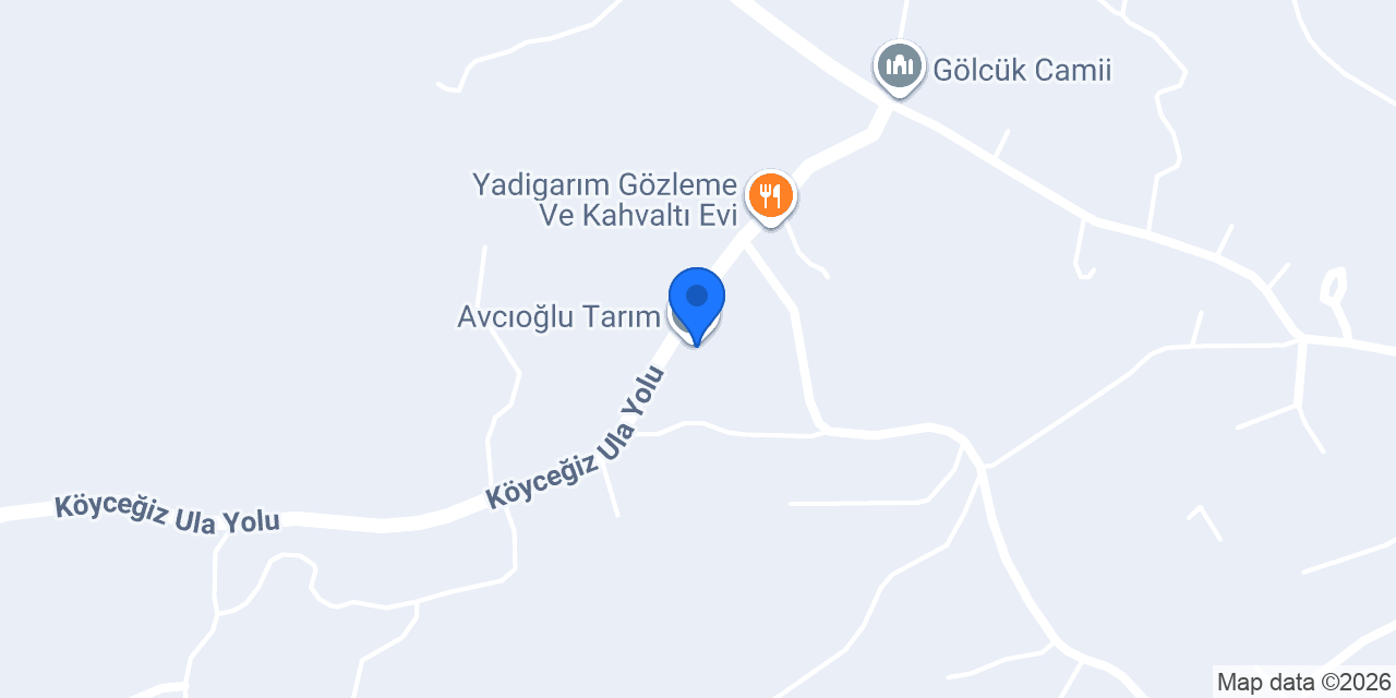 Avcıoğlu Tarım konumu