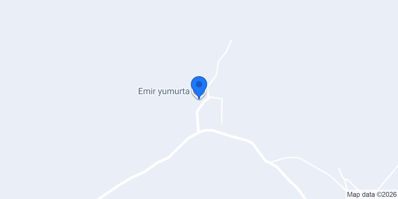 Emir yumurta konumu