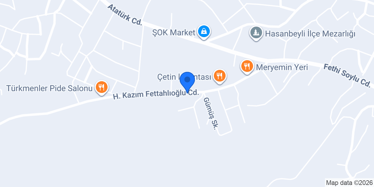 Asya Elektrik konumu