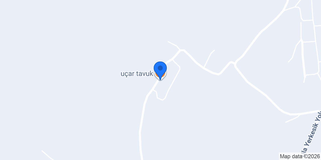 uçar tavuk konumu