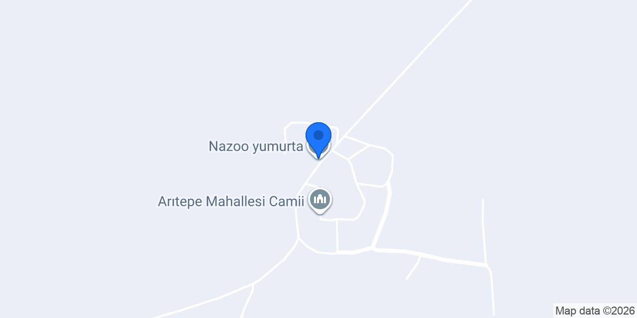 Nazoo yumurta konumu