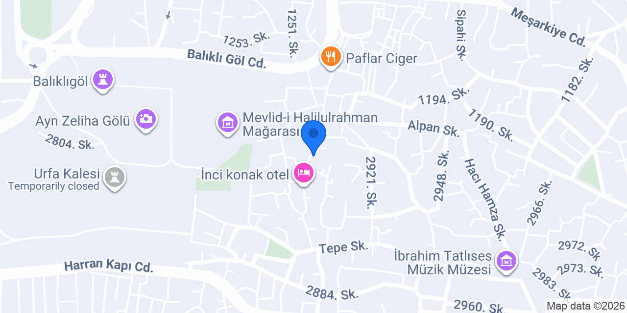 Kesik zuccaciye konumu