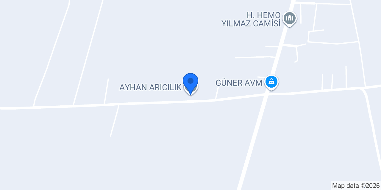 AYHAN ARICILIK konumu