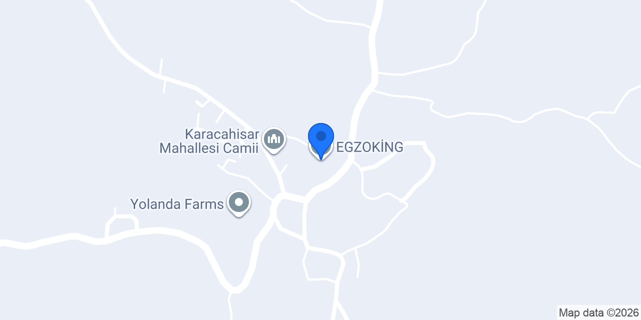 EGZOKİNG konumu