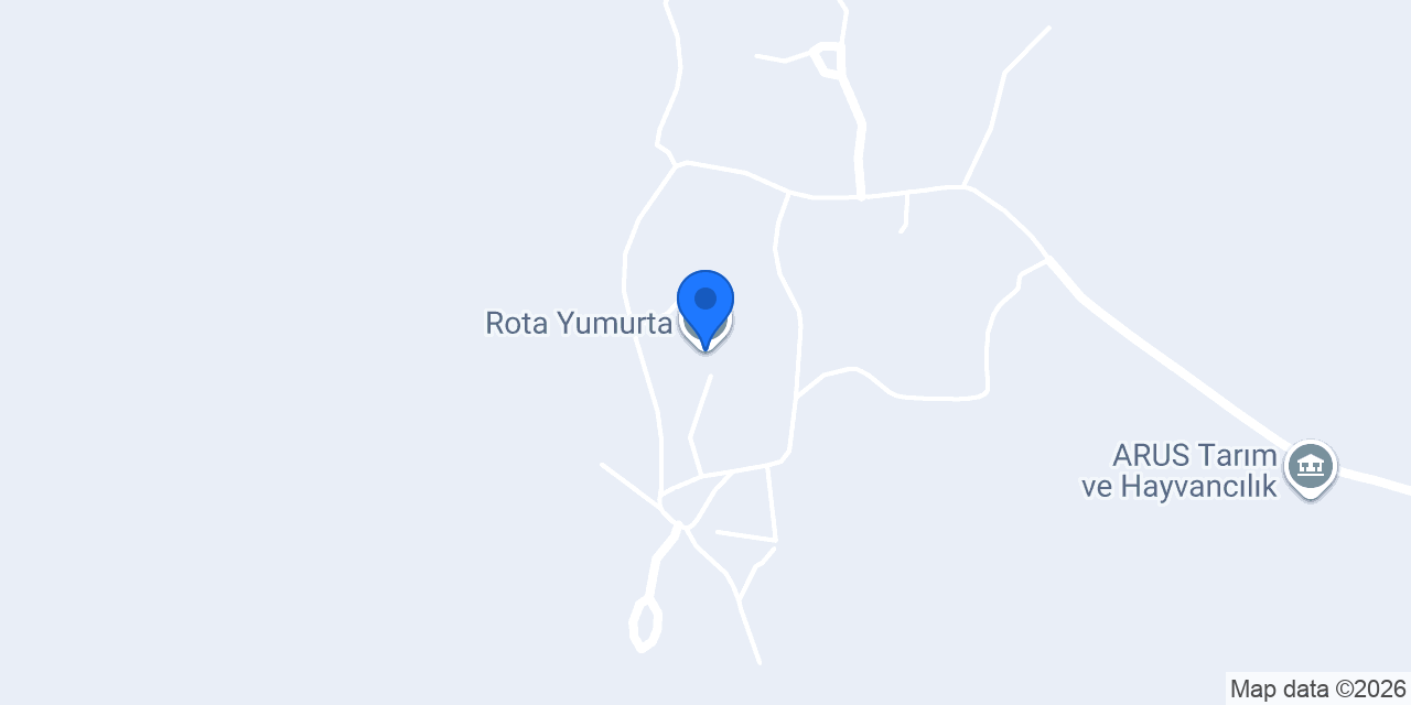 Rota Yumurta konumu