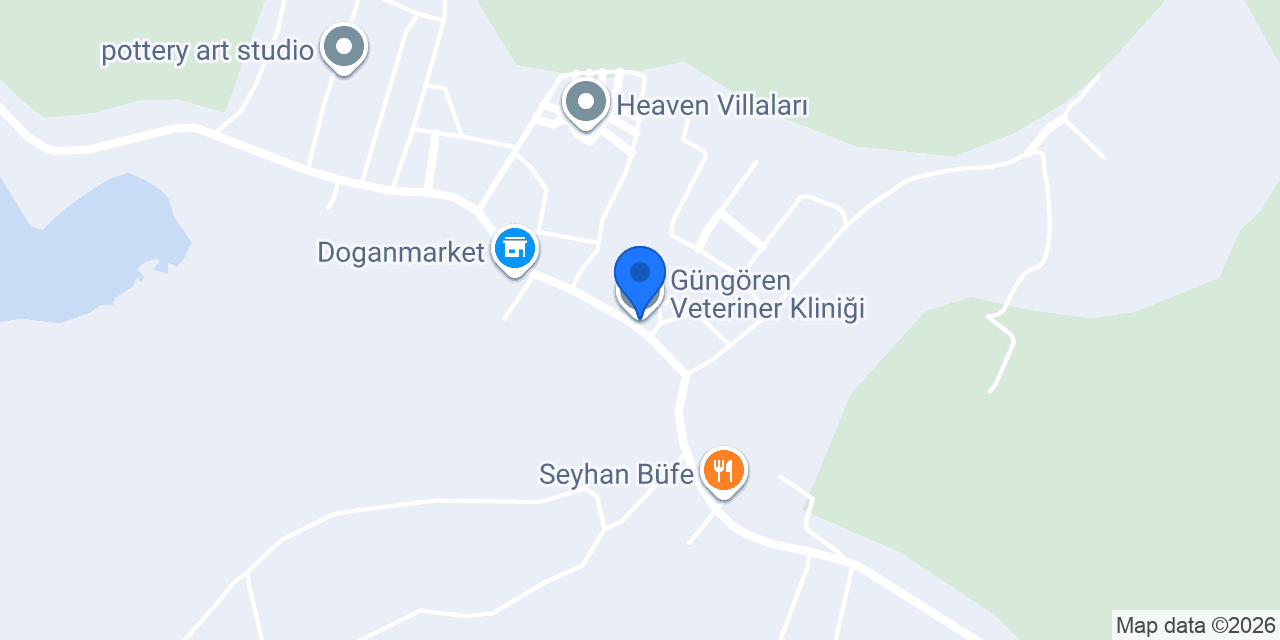 Güngören Veteriner Kliniği konumu