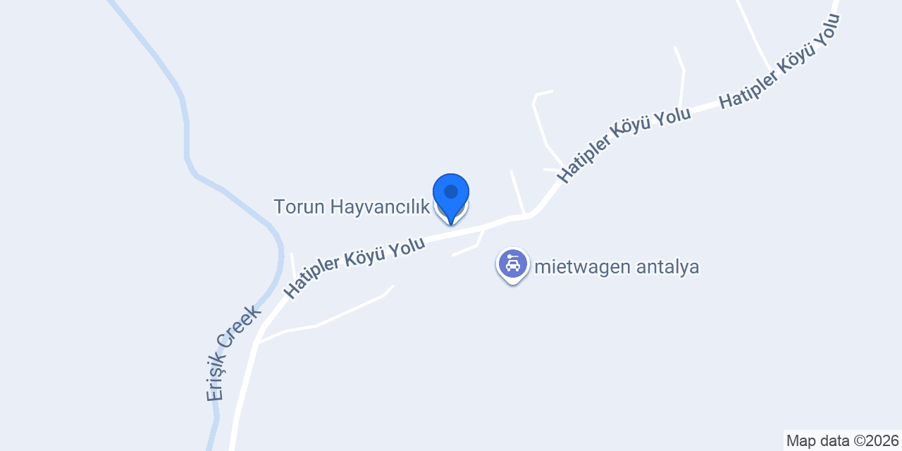 Torun Hayvancılık konumu