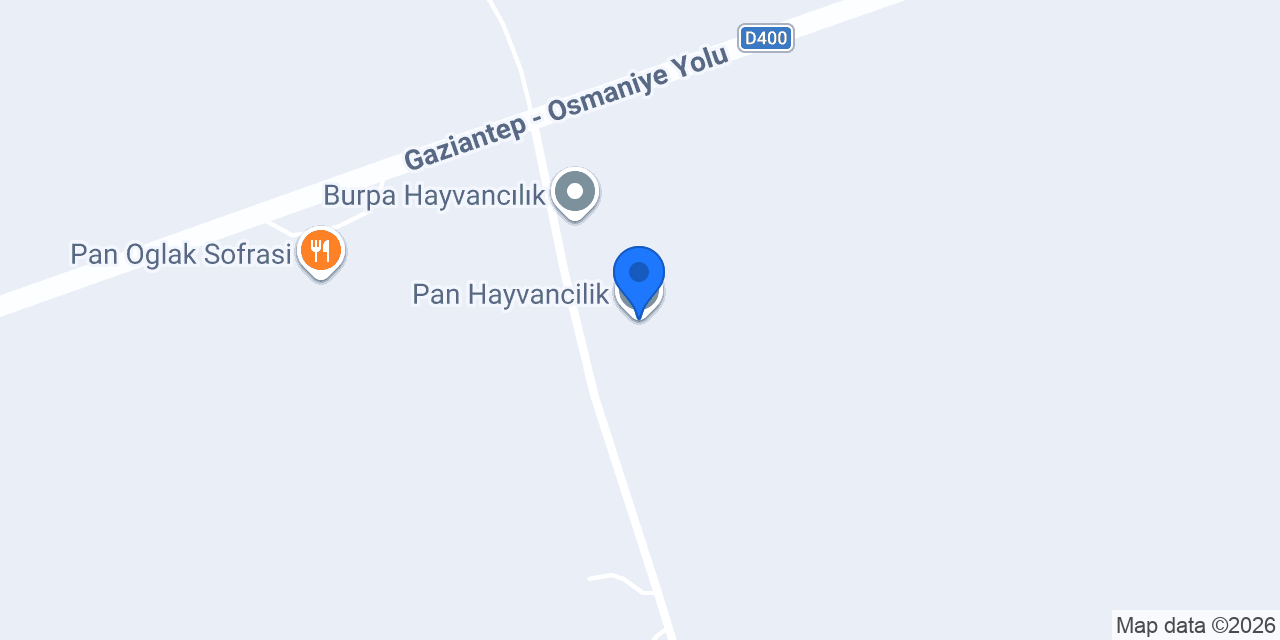 Pan Hayvancilik konumu