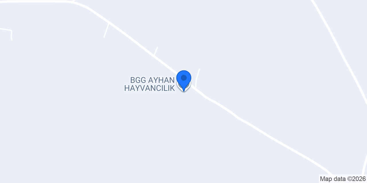 BGG AYHAN HAYVANCILIK konumu