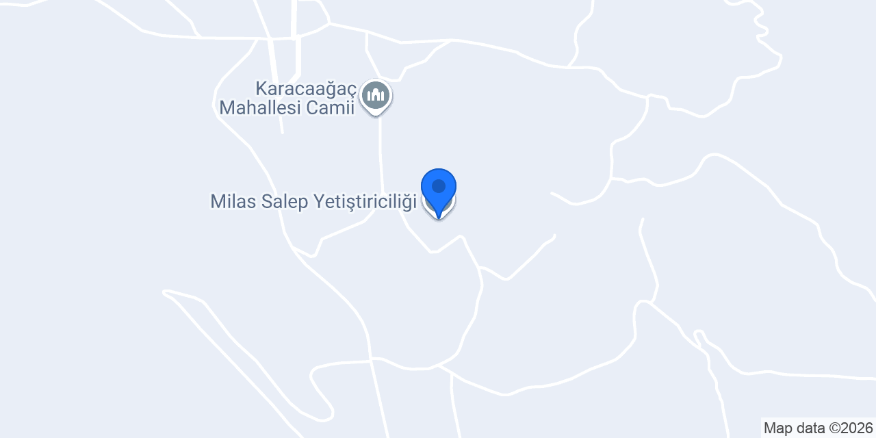 Milas Salep Yetiştiriciliği konumu