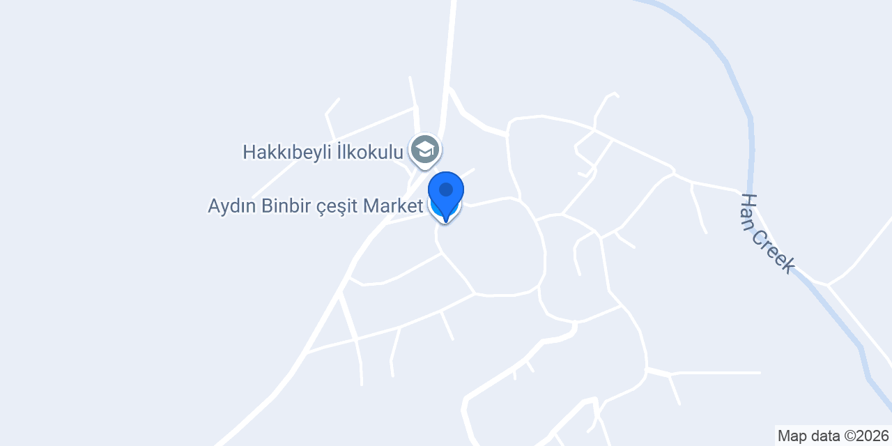Aydın Binbir çeşit Market konumu