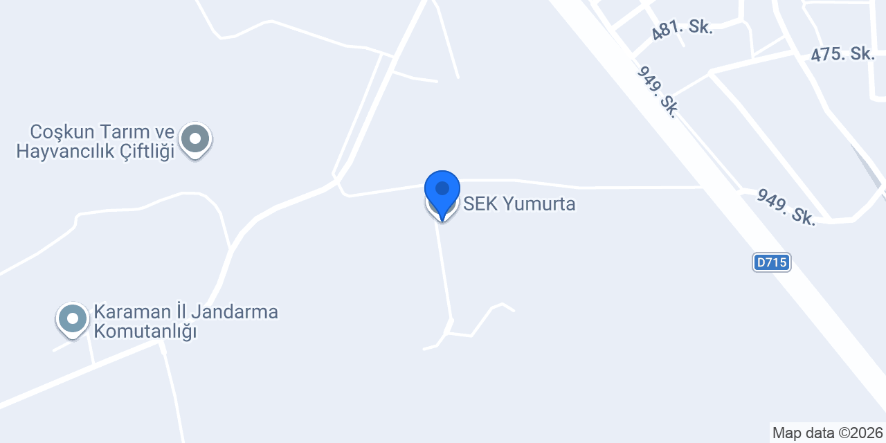 SEK Yumurta konumu