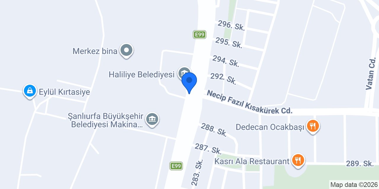 Aslan oto lastik konumu