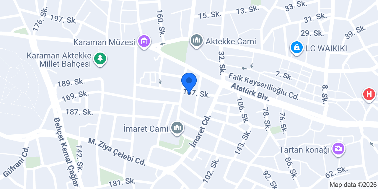 NİPPON ELEKTRİK konumu