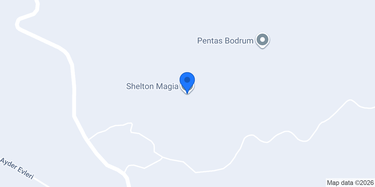 Shelton Magia konumu