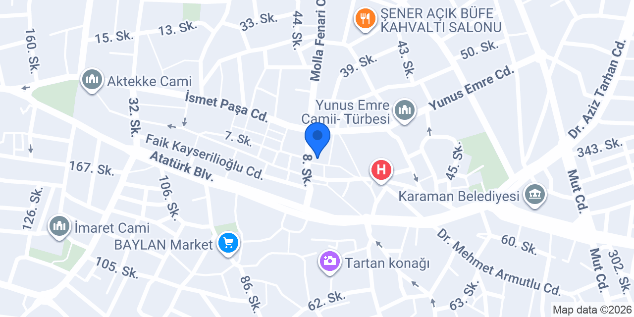 Lisans Tercüme ve Danışmanlık konumu