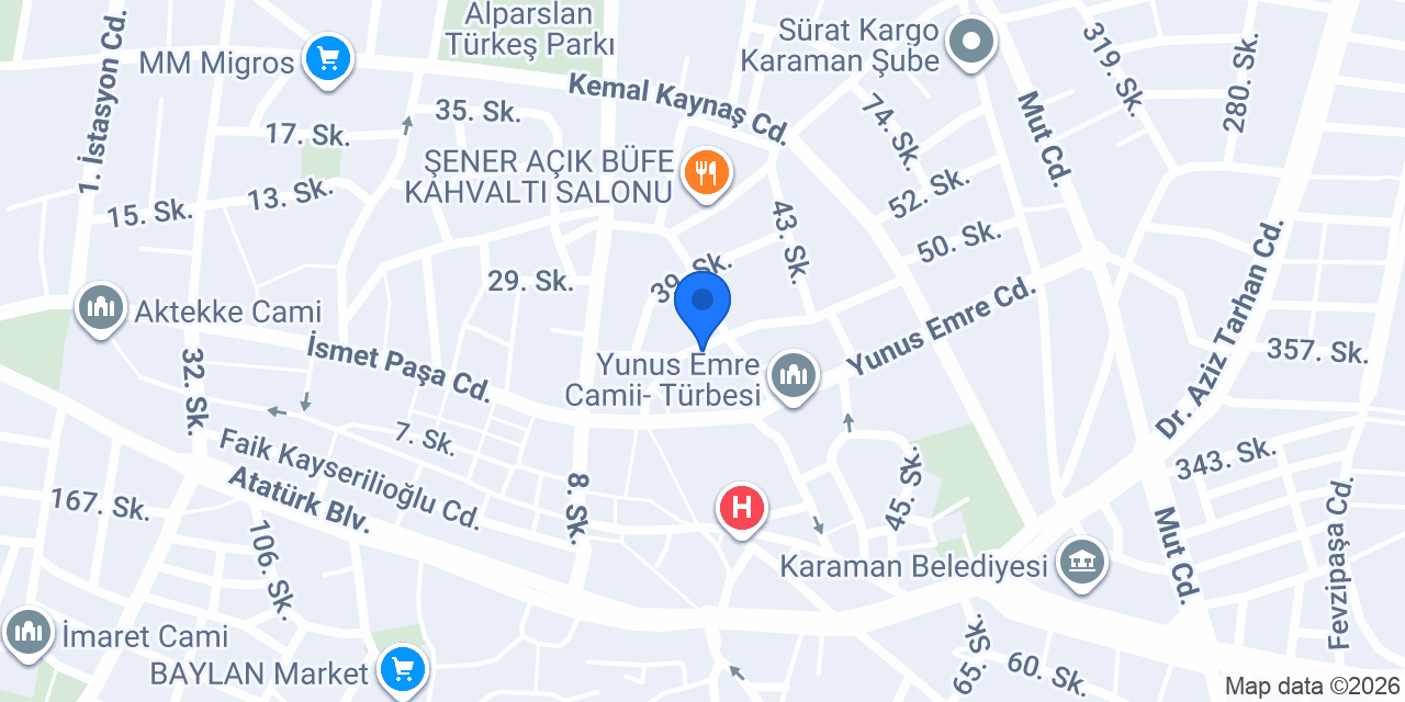 Doğuş Elektronik konumu