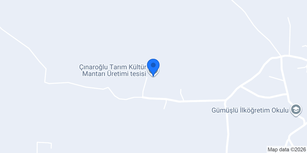Çınaroğlu Tarım Kültür Mantarı Üretimi tesisi konumu