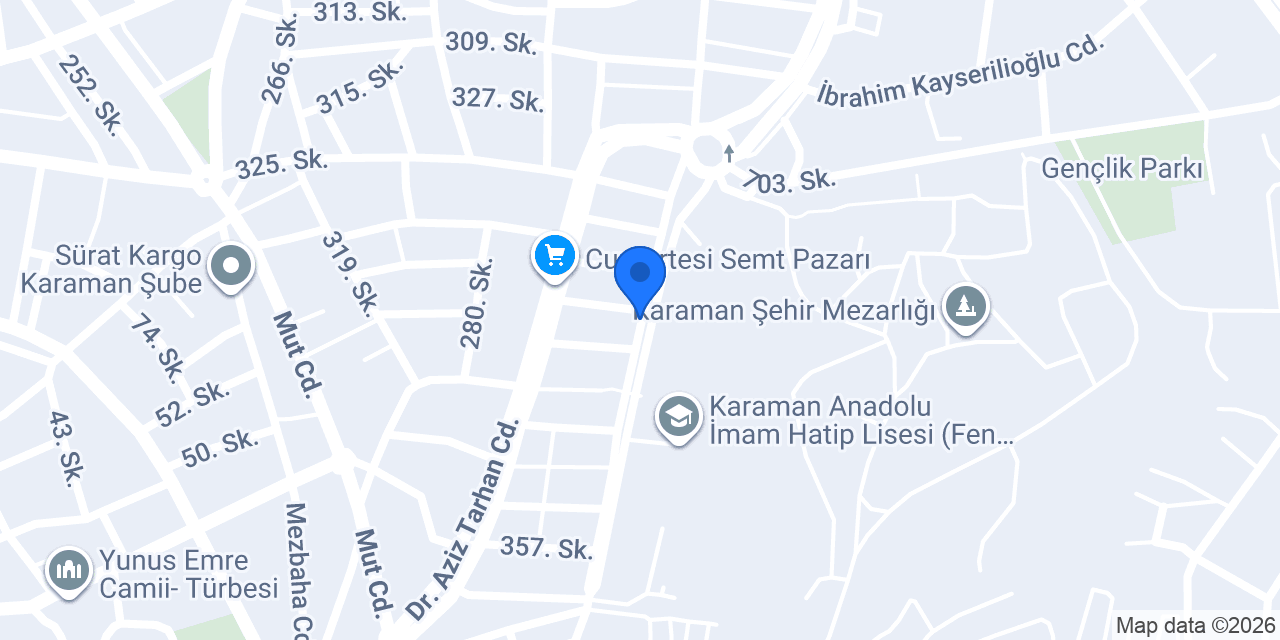 ASLAN ELEKTRONİK konumu