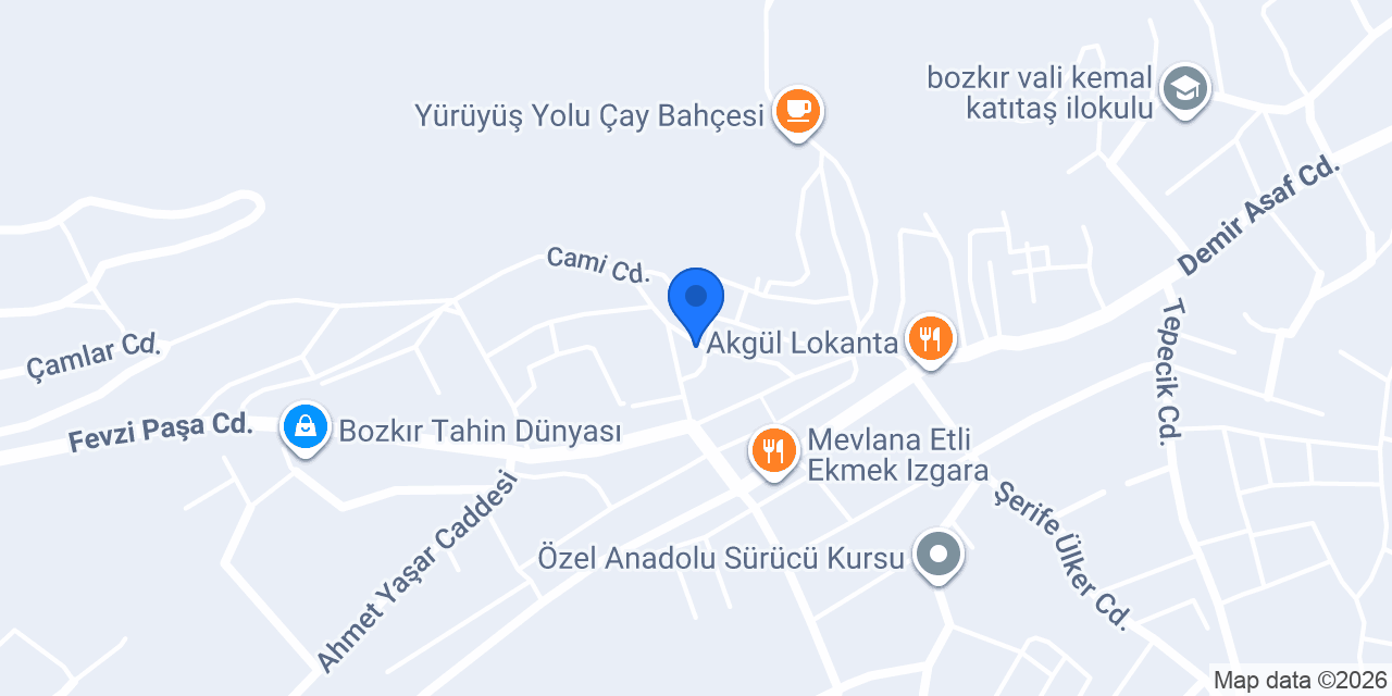 Medaş konumu
