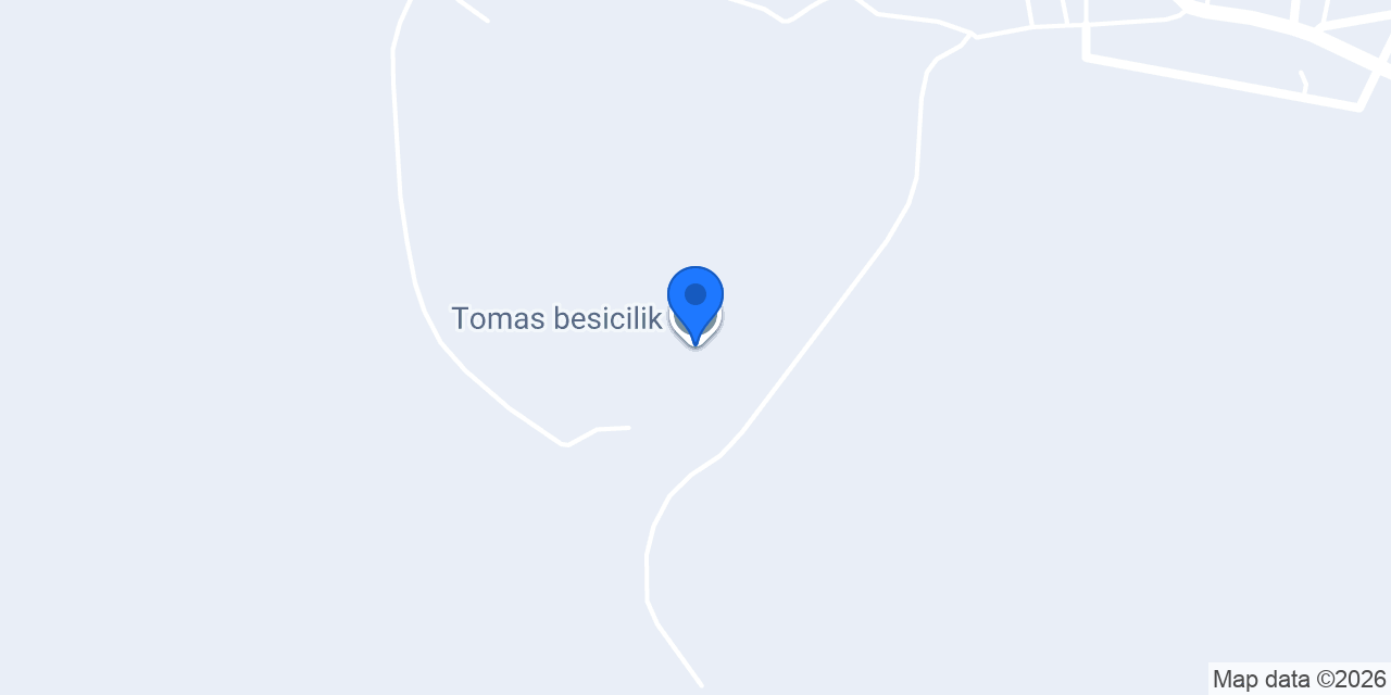 Tomas besicilik konumu