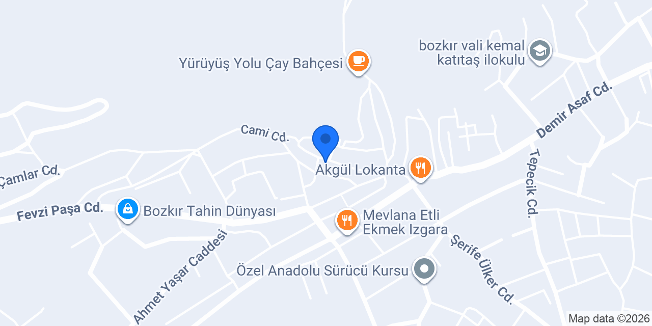 Arı Çiçekçilik konumu