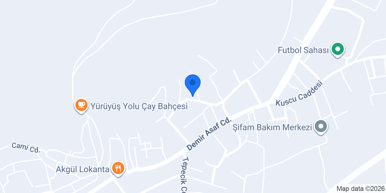 Element.x Web Tasarım ve Hosting konumu