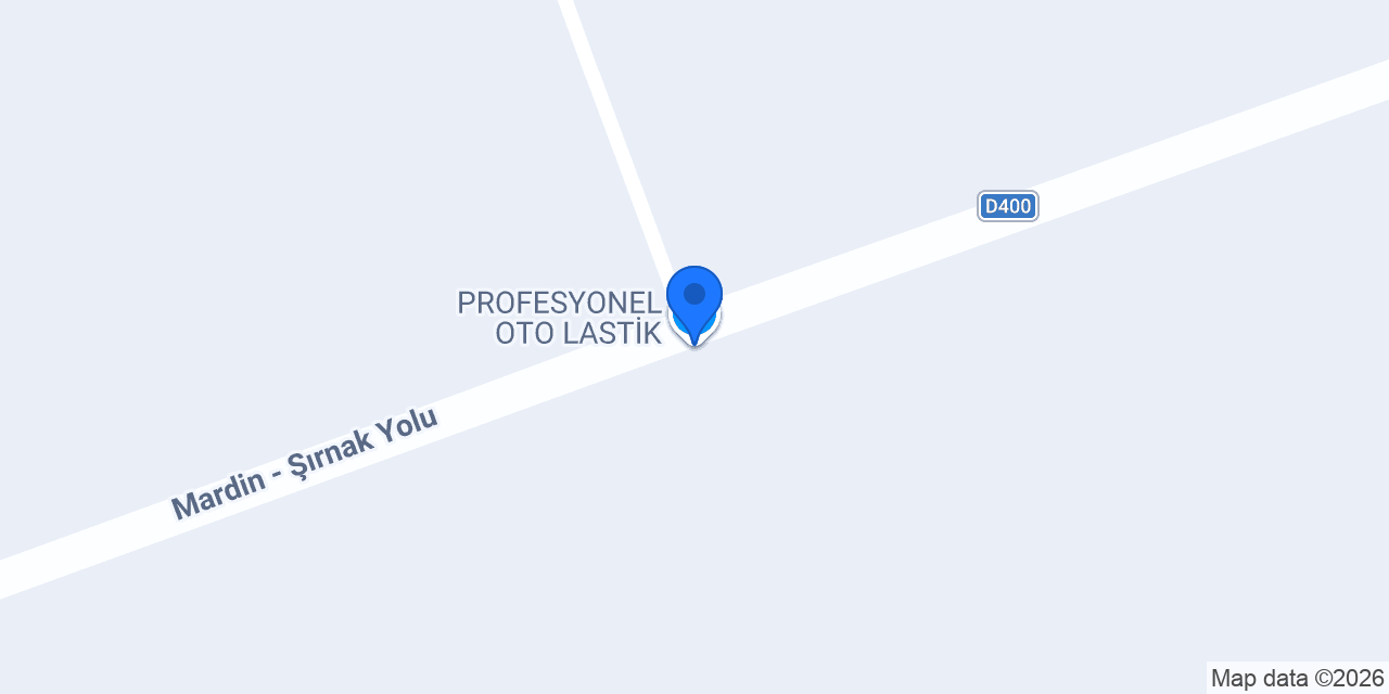 PROFESYONEL OTO LASTİK konumu