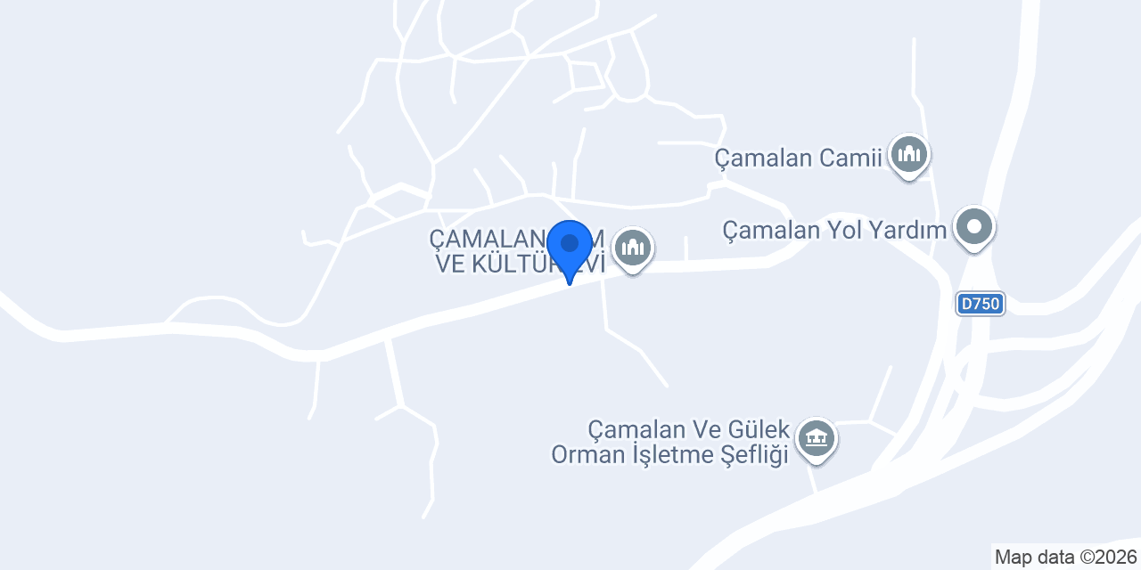 Petline konumu