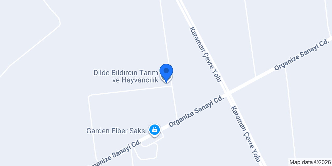 Dilde Bıldırcın Tarım ve Hayvancılık konumu