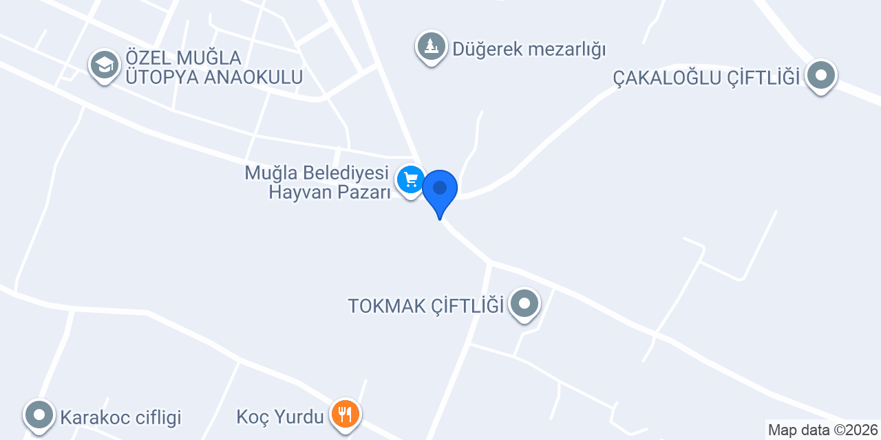 İkizler Besicilik konumu