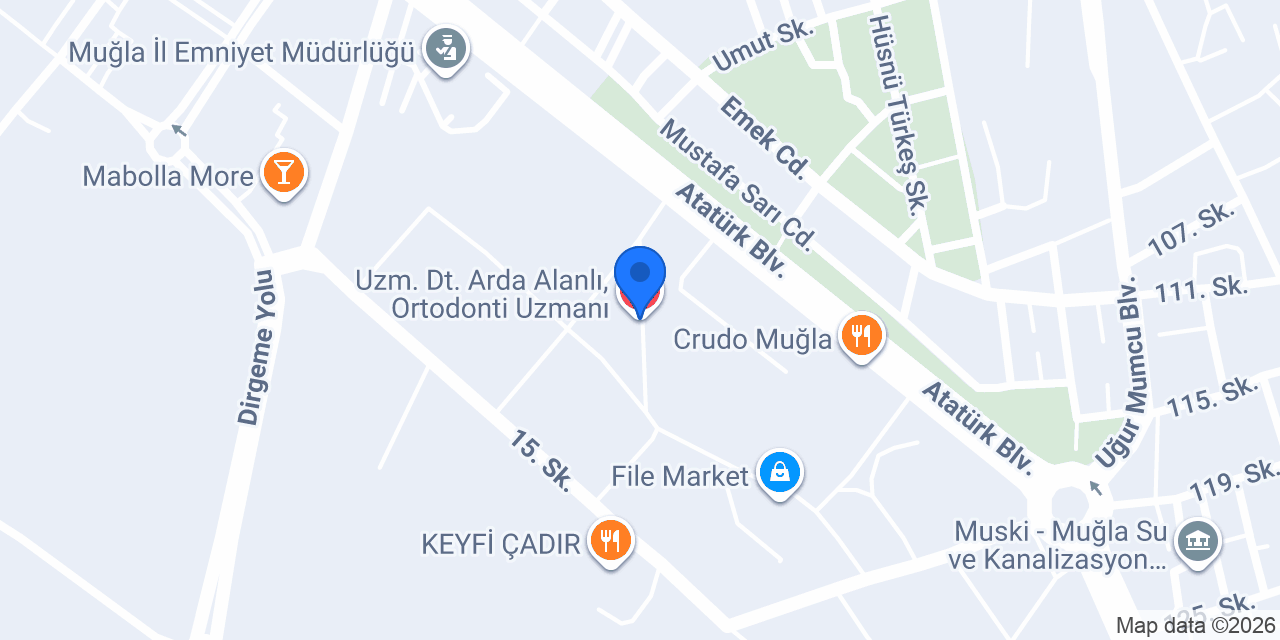 Uzm. Dt. Arda Alanlı, Ortodonti Uzmanı konumu