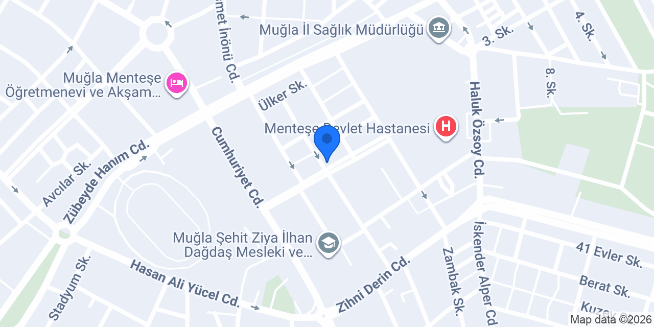 Zeytin Dalı Ev Yemekleri konumu