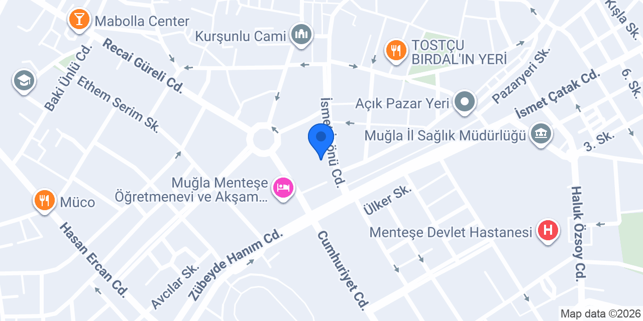 PAŞALI GSM konumu