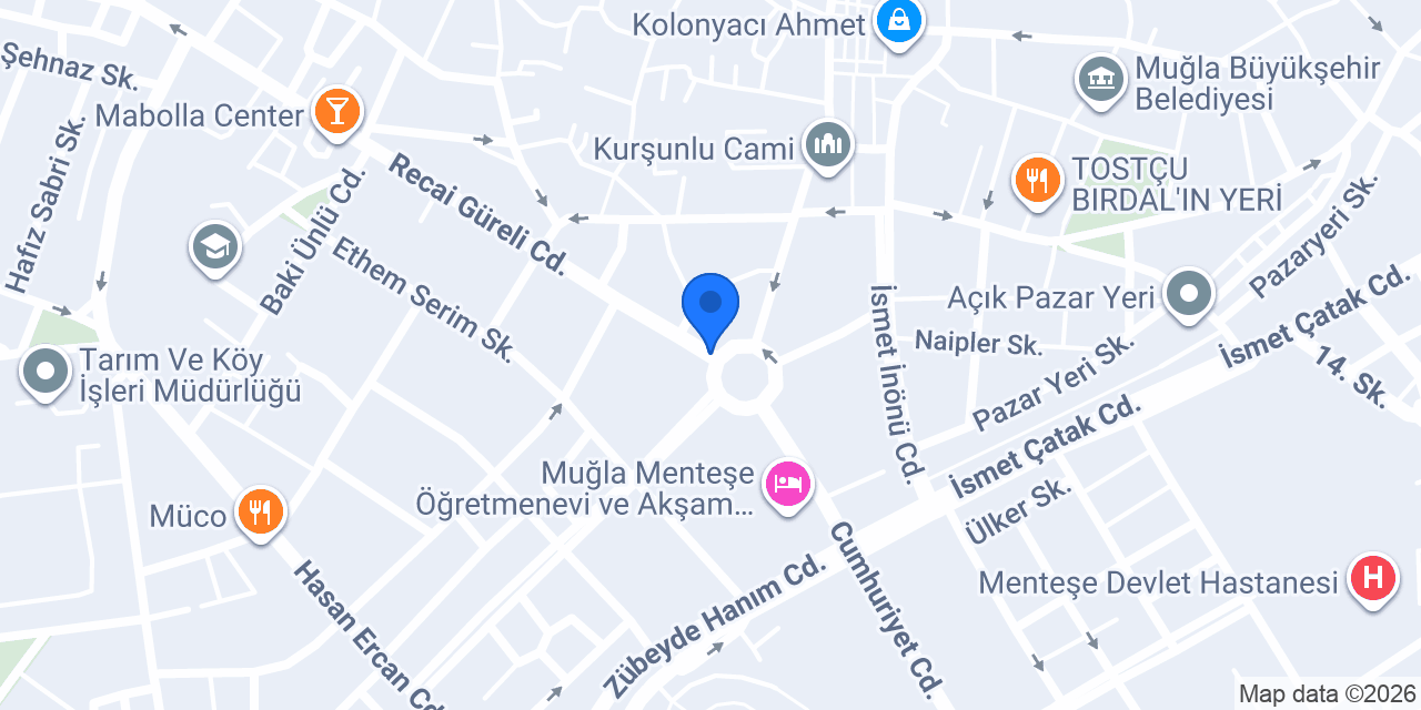 AYDIN MUĞLA konumu