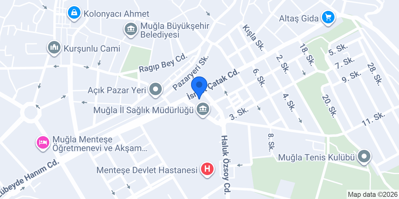 Uydu Elektronik konumu