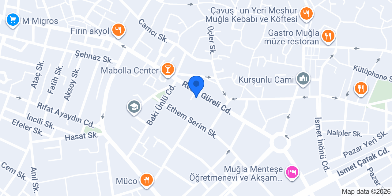 Gönül Turgut Bireysel Eğitim Danışmanlığı konumu