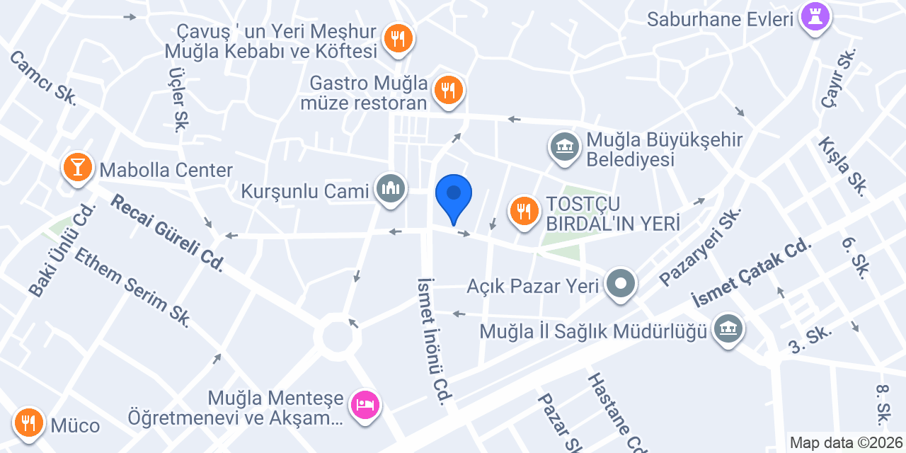 CLİNİC EXCELLENZA konumu