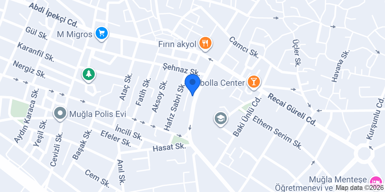 SASA Elektrik konumu