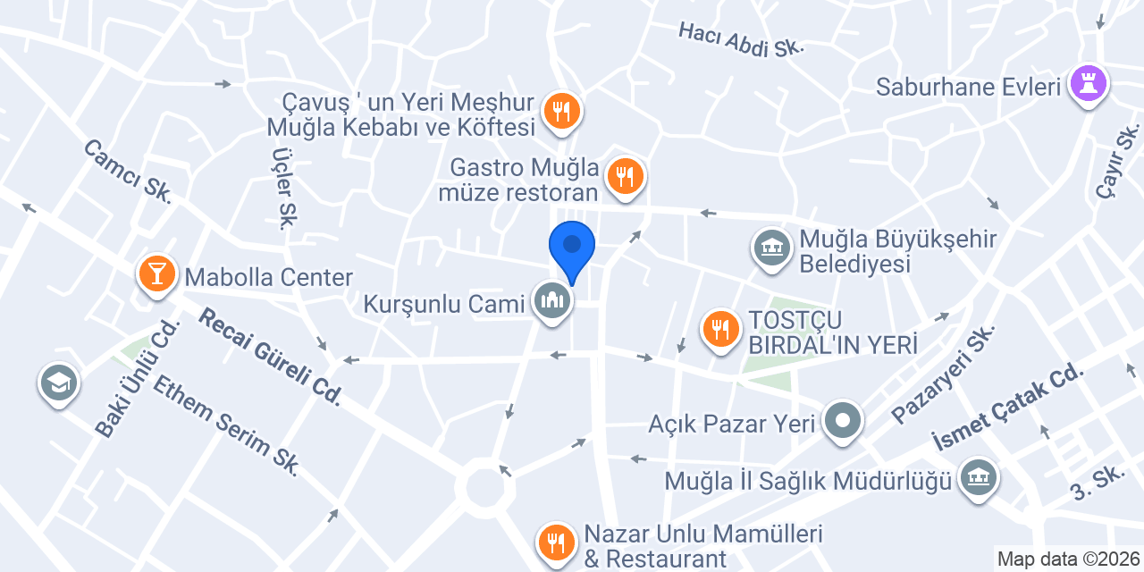 TOK PİZZA konumu