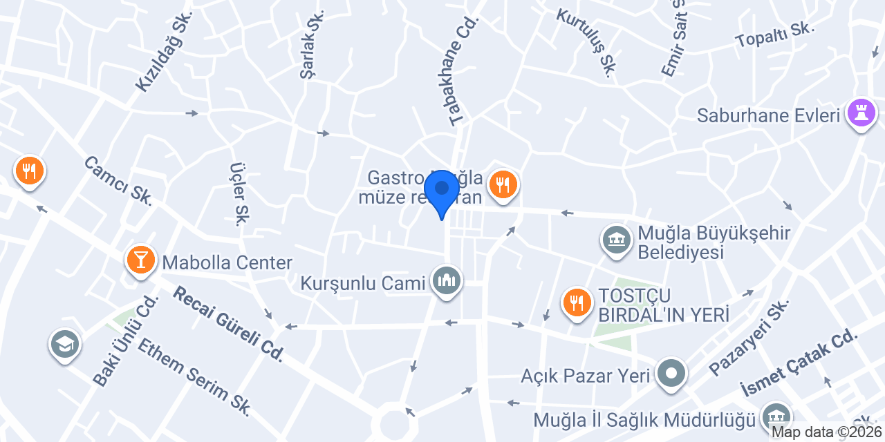 Arıcı Elektronik konumu