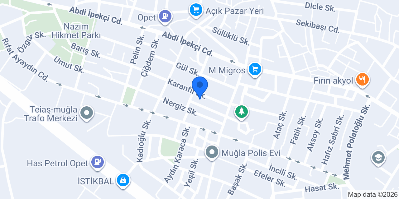 Titiz Halı Yıkama konumu
