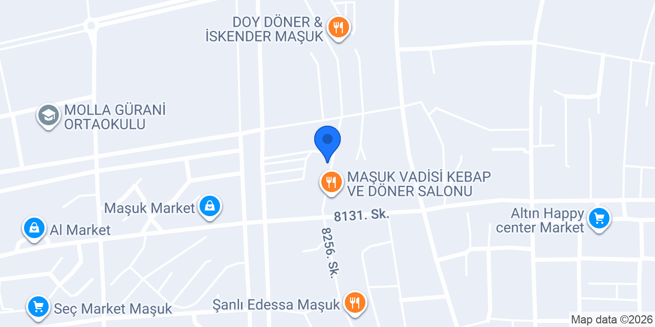 Asel terzi dikim evi konumu