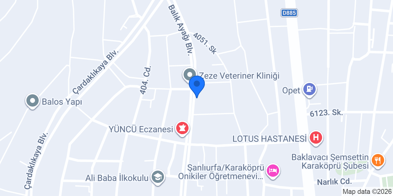 MERKEZ FEN KOLEJİ konumu