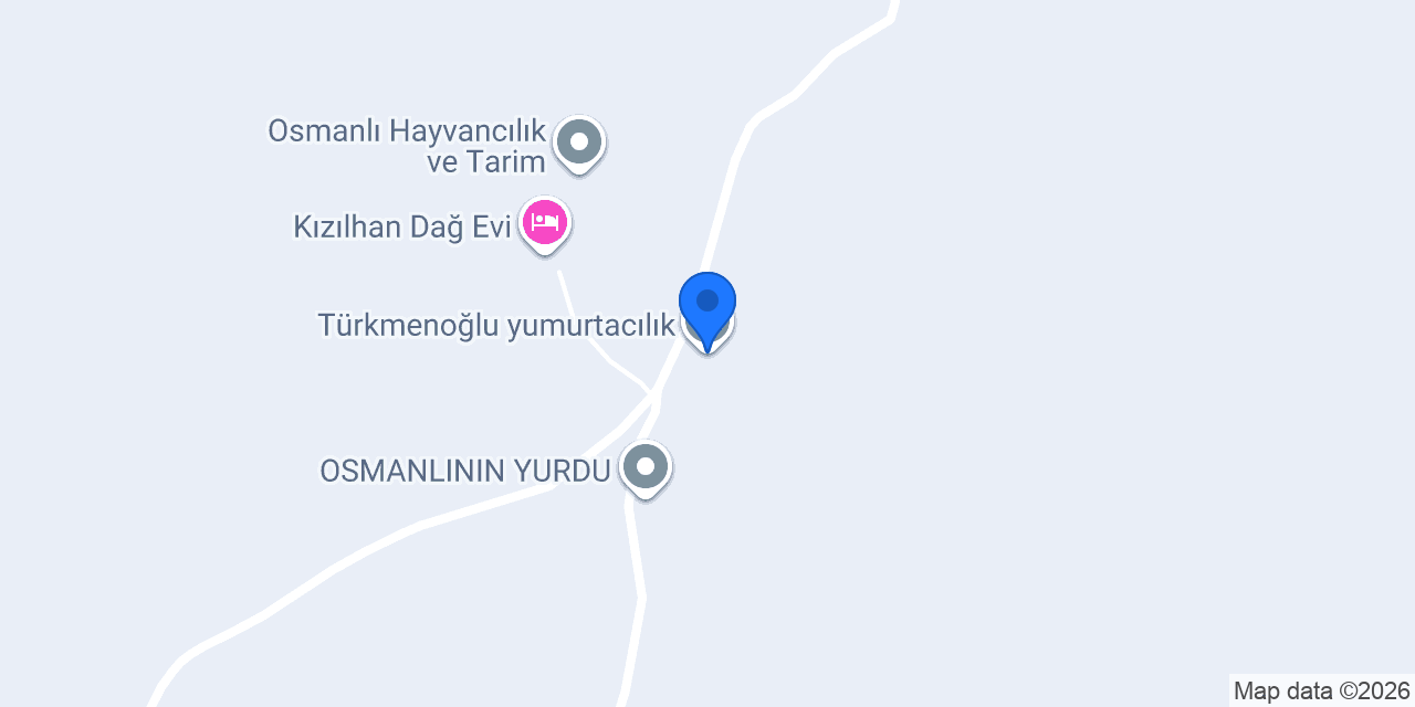 Türkmenoğlu yumurtacılık konumu